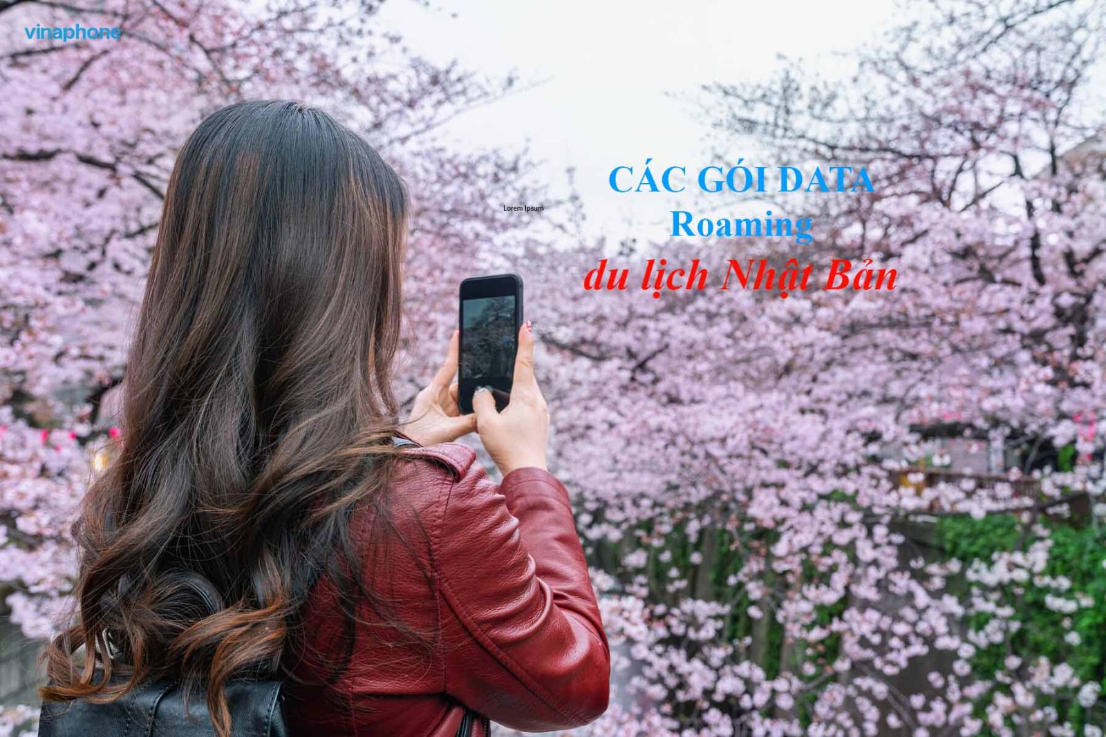 cách nạp tiền vào thẻ icoca