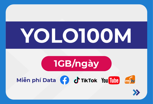 Ưu đãi sim VinaPhone chuyên vào mạng - YOLO100M 12T