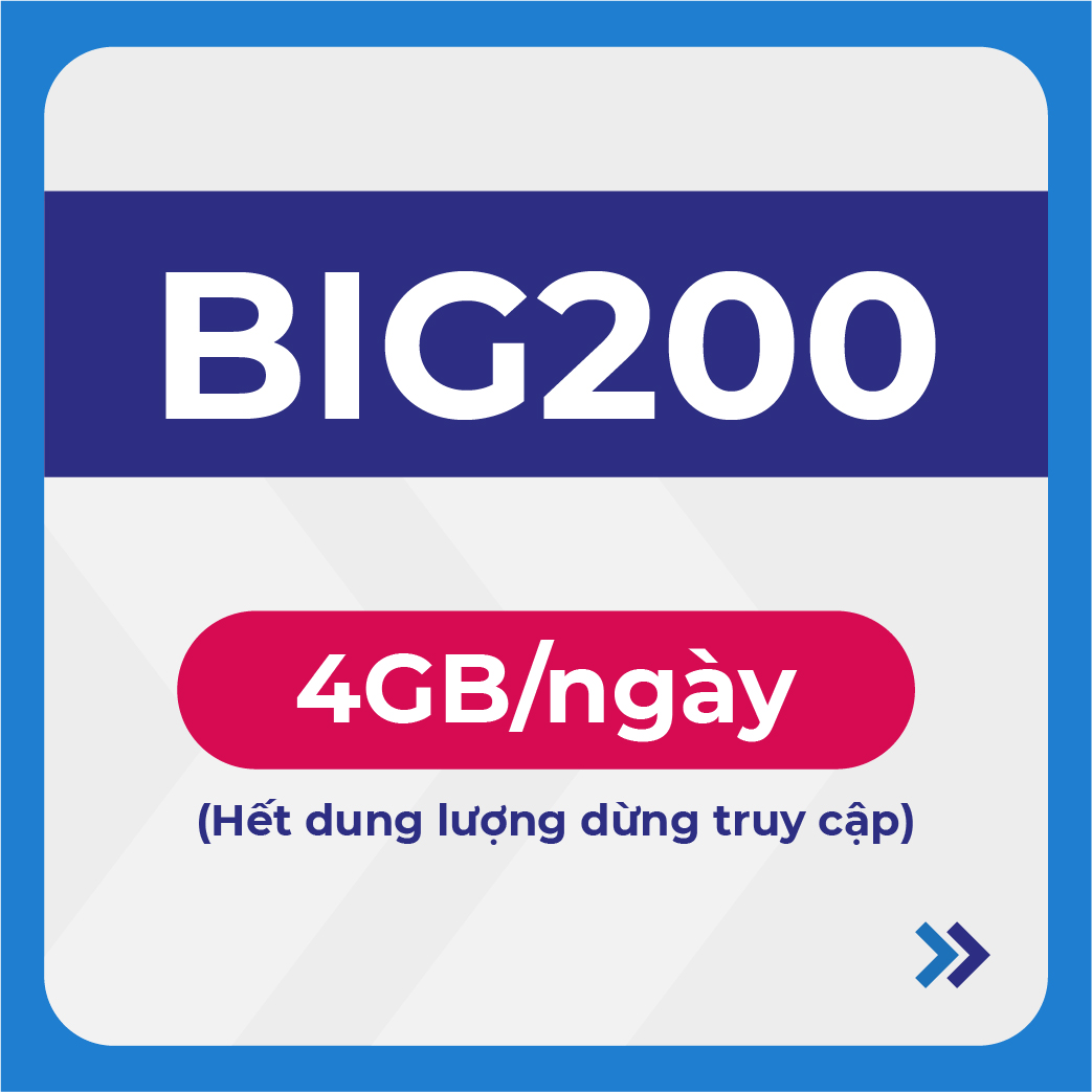 BIG200 6T