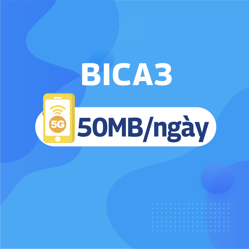 BICA3