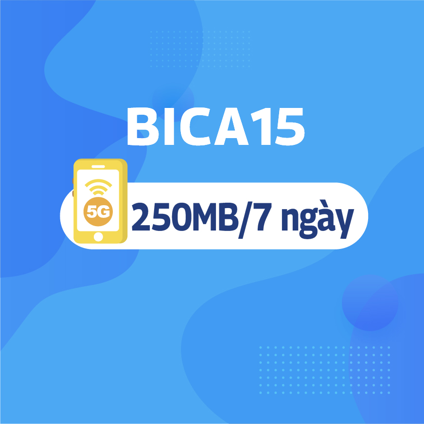 BICA15