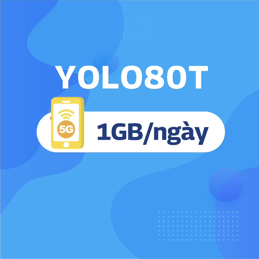 YOLO80T