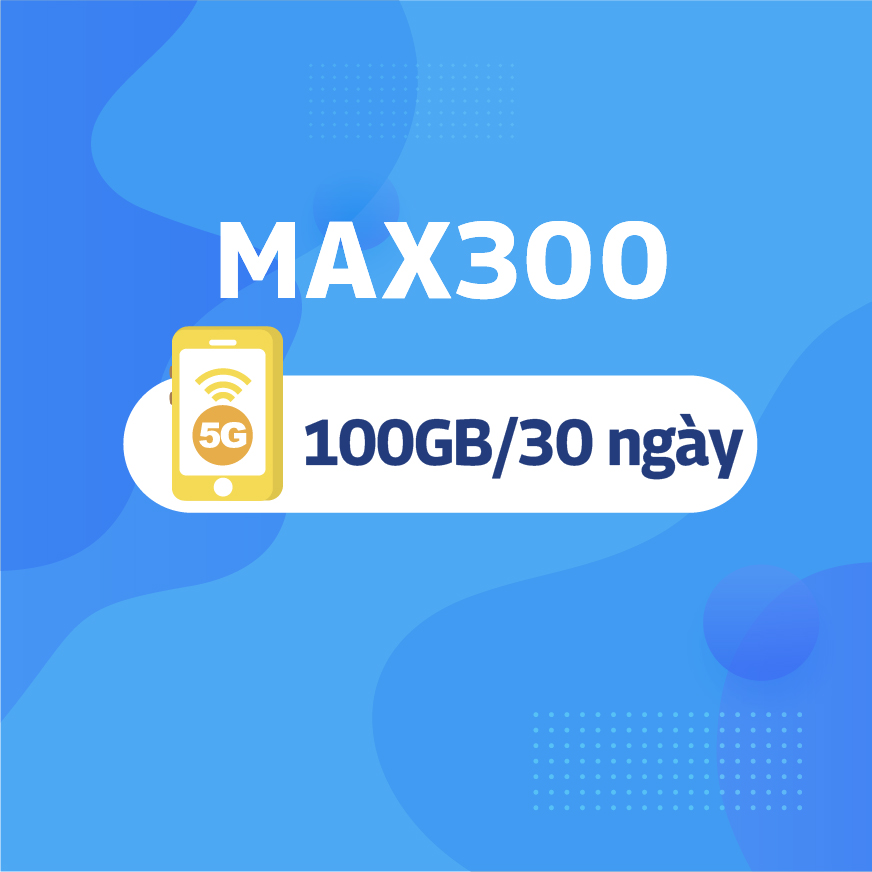 MAX300