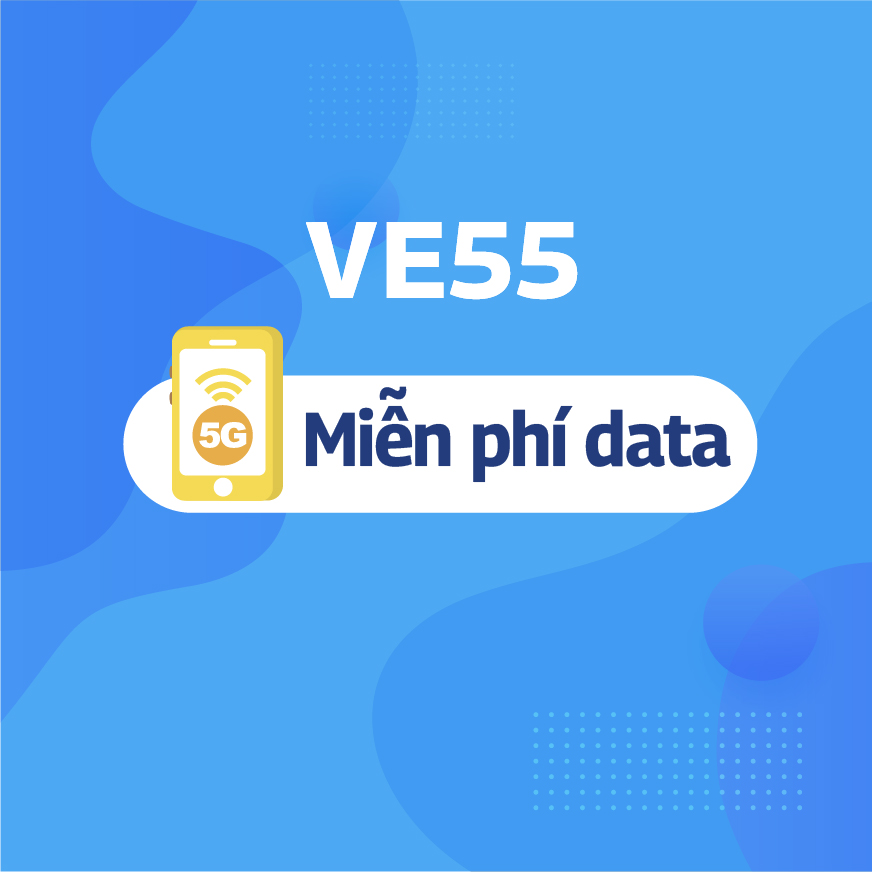 VE55